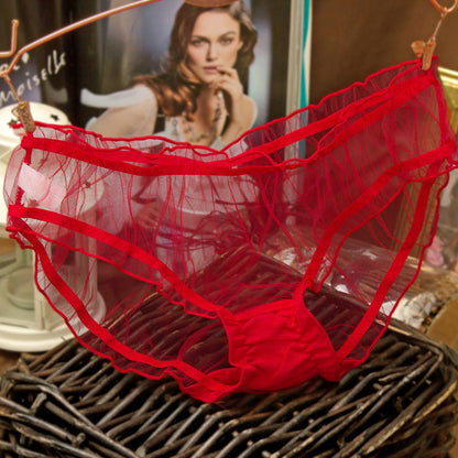 Women's Ultra-Thin Mesh Transparent Panties