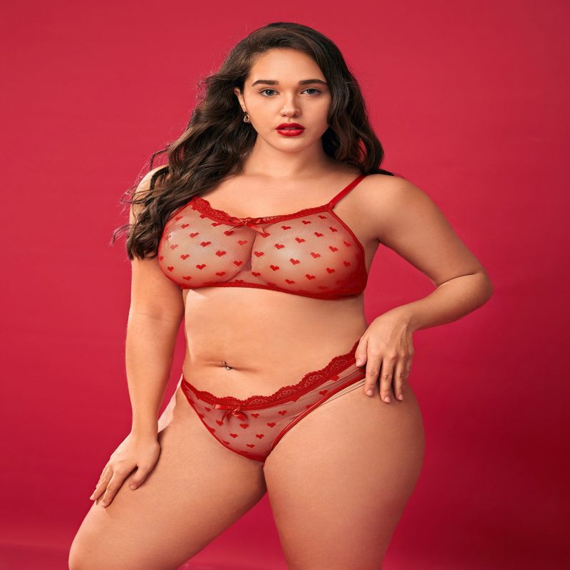 Plus Size Sexy Lace See-Through Bra Panties Set