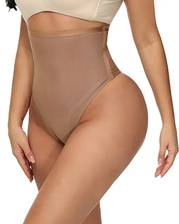 Sheer Mesh High Waist Tummy Control Panty